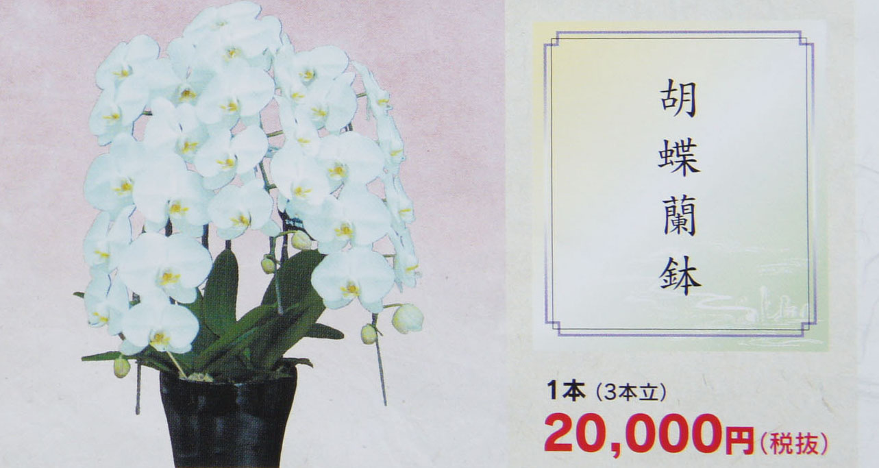盆用生花