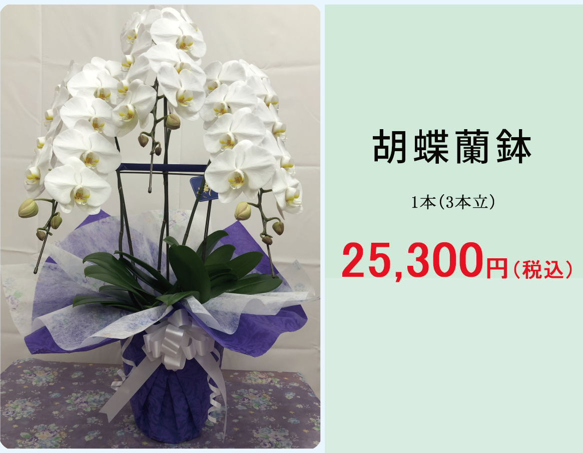 盆用生花
